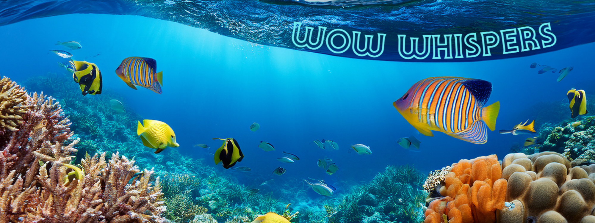 Latest News*Read weekly news update*CLICK HERE